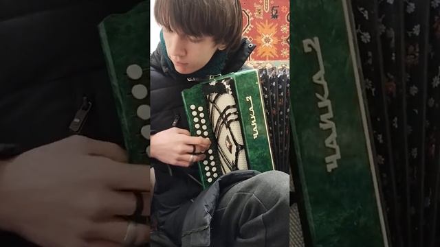 Просто вечерняя зарисовка под названием "Топим печку". Котька импровизирует. смотреть онлайн