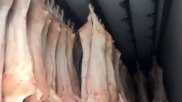 Компания ООО Мир Мяса. Тушка свинины. Мясо оптом. смотреть онлайн