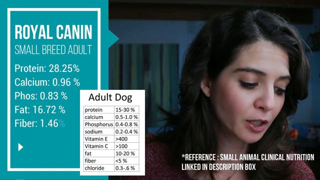 2024 Best Small Breed dog food: Royal Canin смотреть онлайн