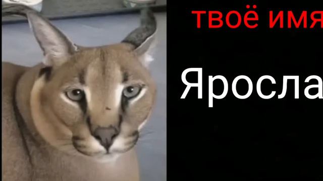 Твоё имя: (Шлёпа стареет:( смотреть онлайн