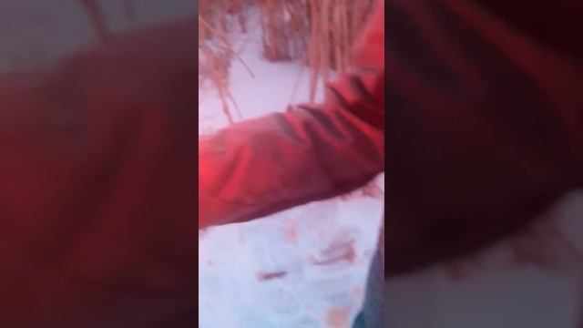 Холодный огонь или что будет если поджечь рогоз смотреть онлайн