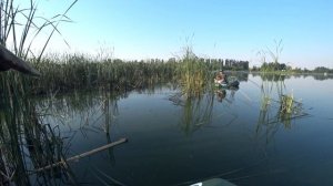 КАРП НА МОРМЫШКУ - ТЕОРИЯ И ПРАКТИКА!!!