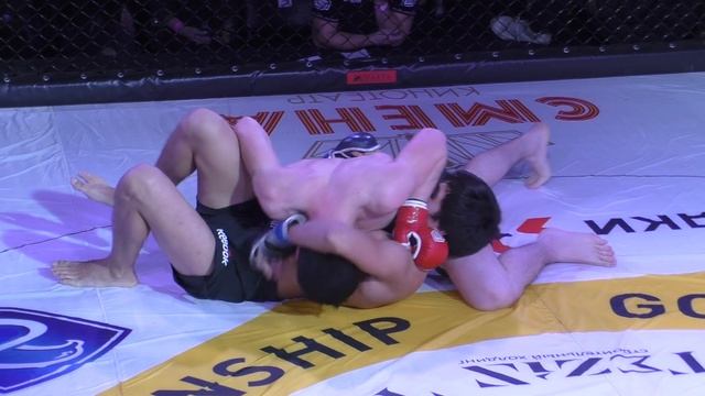 Мирзабалаев М. (Брянск) - Махачев М. (Смоленск)