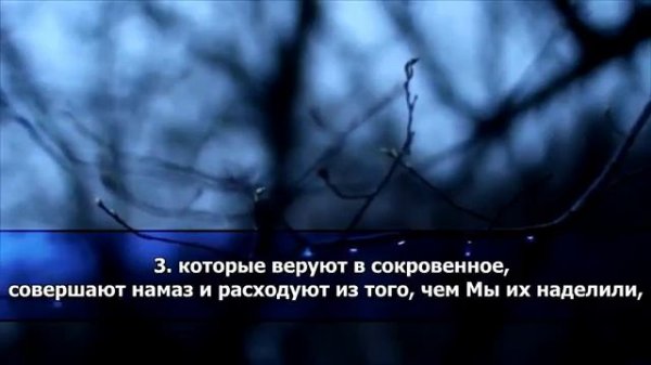 Алиф Лям Мим. Вторая сура Корана. Красивое чтение #АлифЛямМим