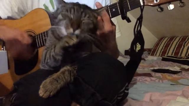 Kavabanga depo Kolibri - без оправданий (cover) смотреть онлайн
