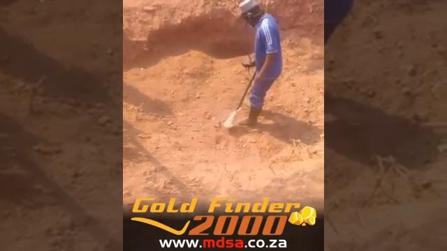 NEW NOKTA MAKRO GOLD FINDER 2000 | #1 GOLD DETECTOR For Zimbabwe, Zambia And Africa