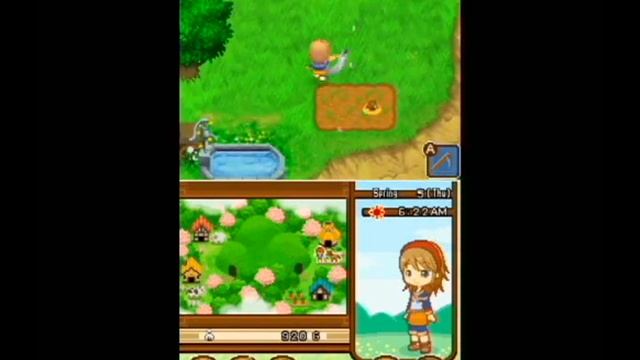 Harvest Moon: The Tale Of Two Towns Review
