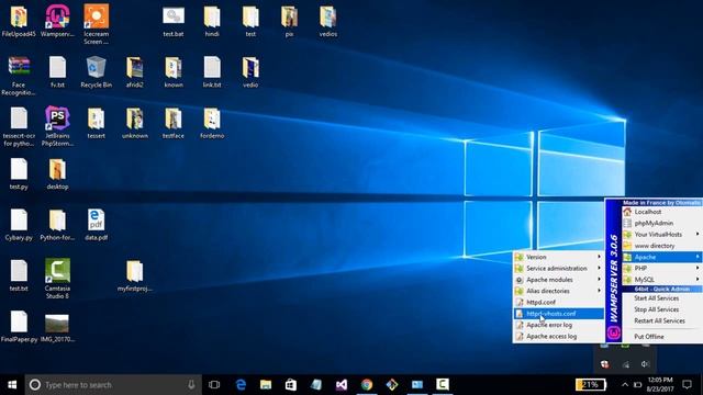 how to put wamp server online window10 смотреть онлайн