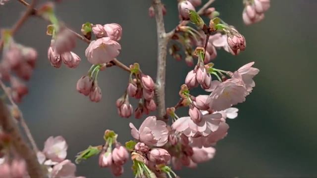 Сентиментальный вальс смотреть онлайн