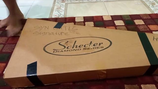 Beli SCHECTER SYNYSTER GATE ORI Preloved смотреть онлайн