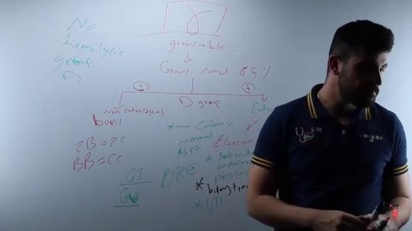 44 Streptococcus Gamma Group D Enterococcus Faecalis