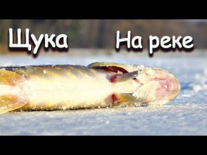 Дед рыбак научил как находить щуку зимой на любой реке!  Места стоянок щуки на реке зимой