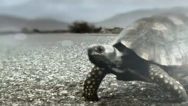 Мотоциклы CFMOTO от Мотосалона Агат-Авто смотреть онлайн