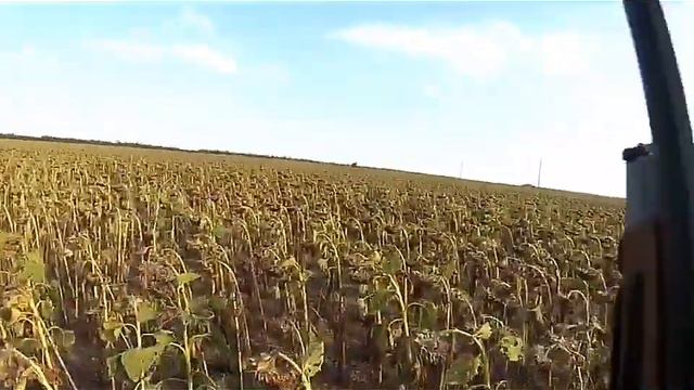 Охота на вяхеря!!!! Хорошие налеты . смотреть онлайн