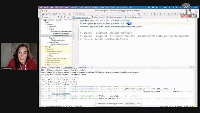 Protocol Buffers fantásticos y dónde encontrarlos смотреть онлайн