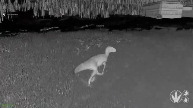 The Isle. Играем на ютке. Сервер Tapkin Survival [RU/EU] (No Alt) смотреть онлайн