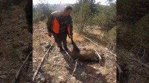 Охота в Крыму на дикого кабана.