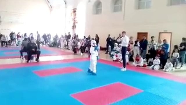 Спарринг тхэквондо смотреть онлайн