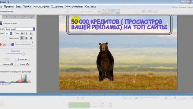 КАК СДЕЛАТЬ НАДПИСЬ НА КАРТИНКЕ В РЕДАКТОРЕ PICASA 1 смотреть онлайн