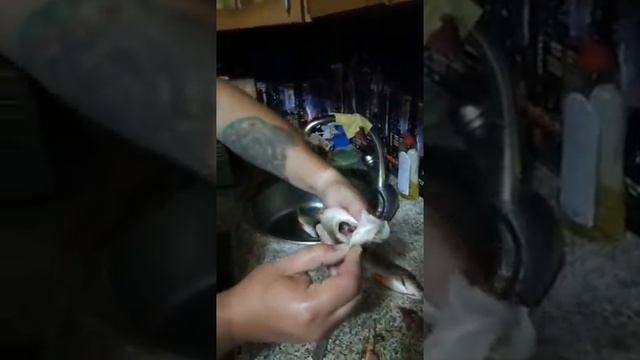 как легко и не напрягаясь почистить рыбу смотреть онлайн