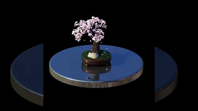 HoloOne: Бесплатные 3D видео для голографических вентиляторов - Голограмма Сакура смотреть онлайн