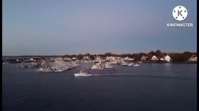 мы родились в сибири//орущие в клоповнике//обзор канала