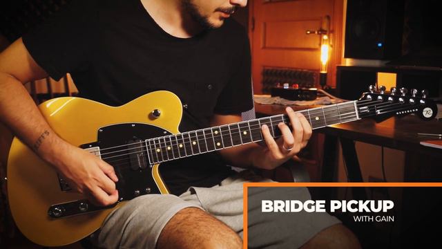 Reverend REEVES GABRELS Signature Guitar - Video Demo