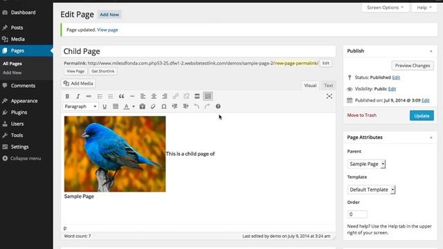 WordPress Basics: Editing Content in WordPress смотреть онлайн