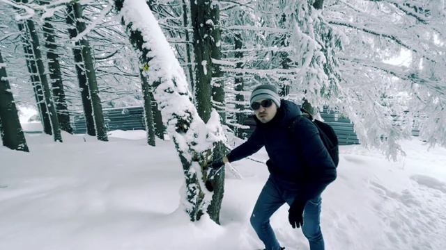 #путешествие по Болгарии | Туда Сюда по Болгарии | София Витоша дикий медведь после короны смотреть онлайн