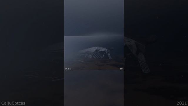 Wreck of the MS Estonia! смотреть онлайн