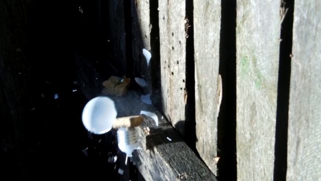 1# Разбиваю лампочку в Slow Mo смотреть онлайн