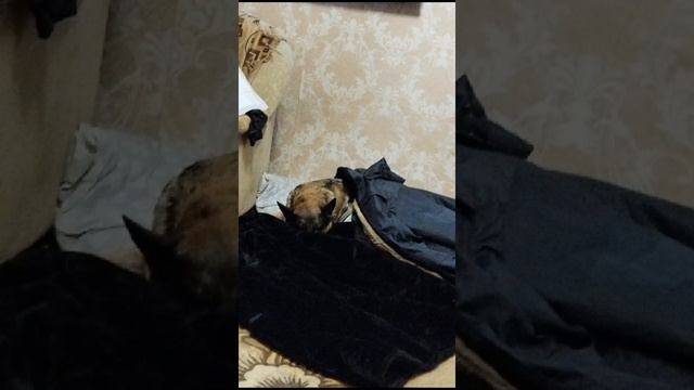 Кирочка_после_операции!!!![1]