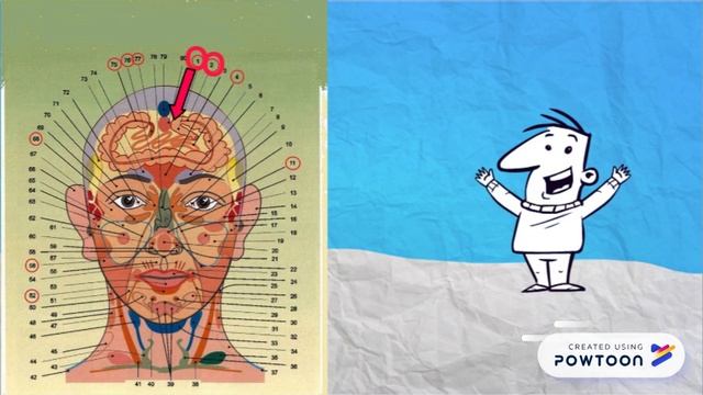 КИШЕЧНИК. Диагностика кишечника. Диагностика патологии КИШЕЧНИКА на лице и шее человека смотреть онлайн