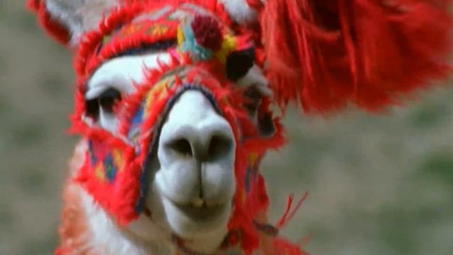 I'll find my way home - BELIEVE IN YOURSELF смотреть онлайн