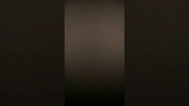 Зоопарк и Дикие Животные