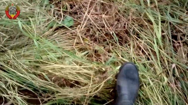 Поиск металлолома. Железная поляна. Часть первая. смотреть онлайн