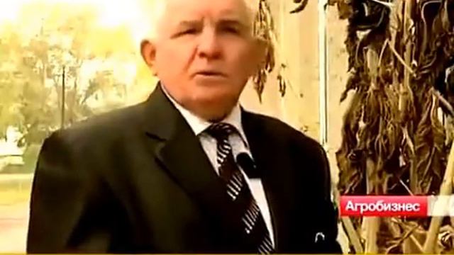 Как Пётр1 амарант запретил