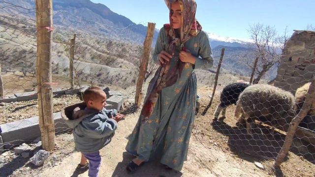 Resilience and Assistance: Ziba's to Bring Back the Sheep and Seek Saifullah's Guidance смотреть онлайн