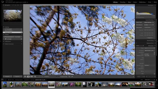 Обзор 7Artisans 12mm F2.8 (бюджетный сверх ширик для беззеркалок) смотреть онлайн