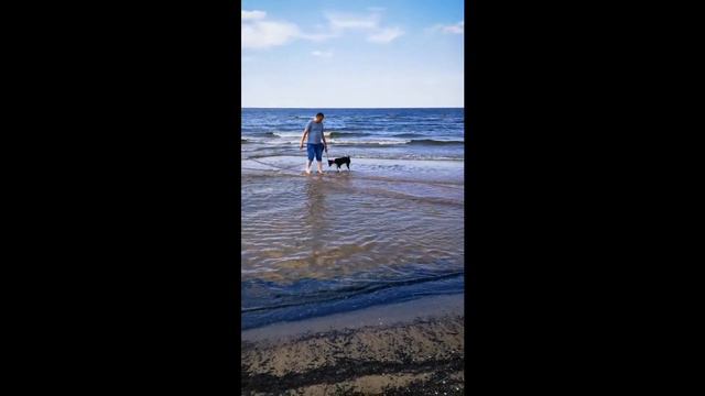 The first time in the sea 🥰 Первый раз в море 🥰 смотреть онлайн