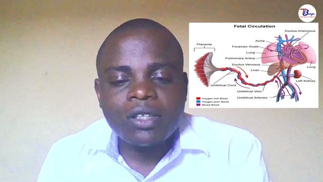 Sobanukirwa Imihindagurikire y'Umubiri Kuva ku UKuvuka Kugera ku Ubwangavu/Ubugimbi || IGICE 1 смотреть онлайн