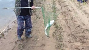 Ловля жереха на кораблик