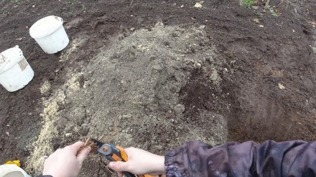 Правильная посадка винограда осенью смотреть онлайн