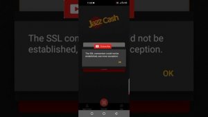 The SSL connection could not be established, see inner exception. Your request could not be process