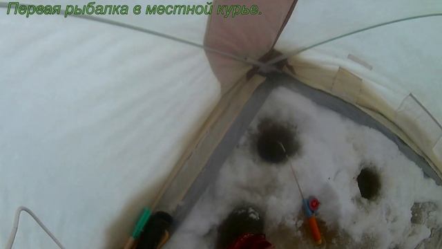 Первая рыбалка по перволедью в местной курье. смотреть онлайн
