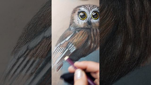 Рисунок любопытного совёнка ❤️🦉 #artist #art #creative смотреть онлайн