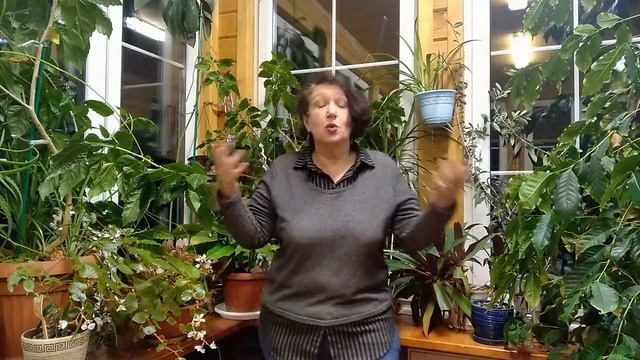 урок 4 Where is Alex? Как спросить по-английски: "Где находится..." смотреть онлайн