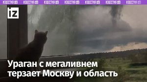 Ураган, мегаливень и даже смерчи: на Москву обрушилась непогода / Известия