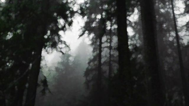 ???? ?????????:ДЛИННЫЕ РЕСНИЦЫ САБЛИМИНАЛ? смотреть онлайн