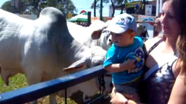 Напугали малыша смотреть онлайн